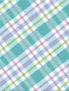 flashy plaid