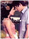 zanessa high school musical