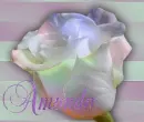 Amanda