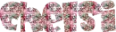 chelsi