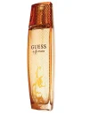 Guess Fragrance