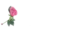 Rose Pen with Glass Text - Welcome