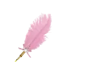 Feather Pen Light Pink - Mary