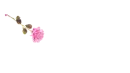 Rose Pen Light Pink - Marcia