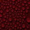 blood droplets