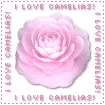 i love..