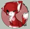 Foxy