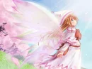Butterfly Wings