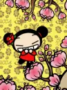 PUCCA