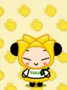 PUCCA
