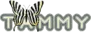 Tammy zebra print butterfly