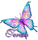 TEAESA-butterflyanimoo