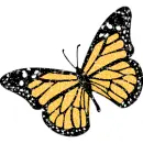 Monarch