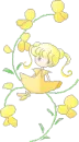 flower baby