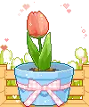 flower girl