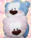 blue bear