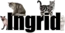 Ingrid (cats)