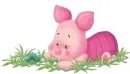 pigglet