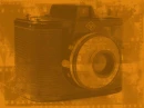 Camera love