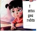 missing robin