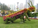 Mantis Flower