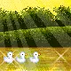 cute kawaii scene