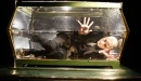 gerard way