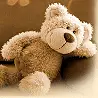 teddy bear