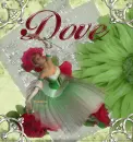 dove