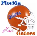 Florida Gators Helmet with Name and Glitter