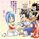 bulma x vegeta