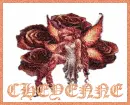 Cheyenne with Fairy