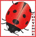 Cheyenne with Ladybug