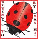 Flying By To Say Hi Ladybug