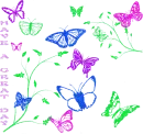 Have A Great Day Flowers