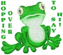 Hopping Over To Say Hi Frog