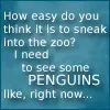 penguins