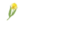 Daffodil Pen - Jammy