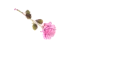 Rsoe Pen Light Pink - Jammy