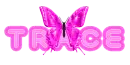 Trace pink butterfly