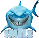 Shark Smile