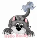 Hello Buddy