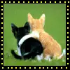 kitty-friends