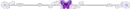 purple butterfly