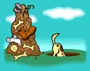 dog digging