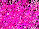 sqiggle background