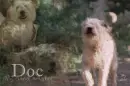 doc