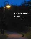 stalker kitty watches you... dun dun dun