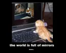the world is full of mirrors