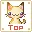 cat button-top